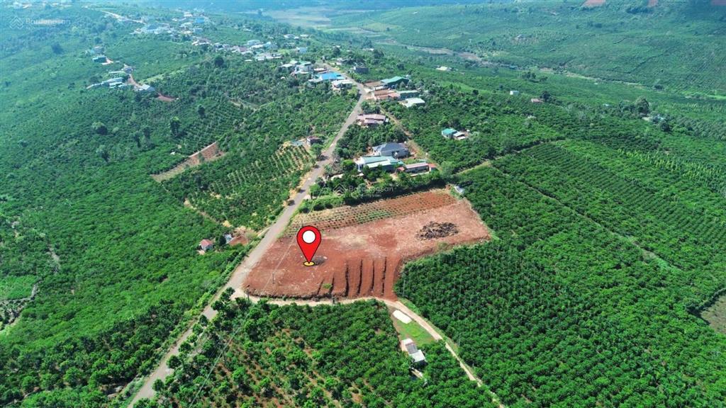 Chỉ 370 triệu  sở hữu ngay đất thổ cư sẵn sổ, view đồi núi tại lâm đồng