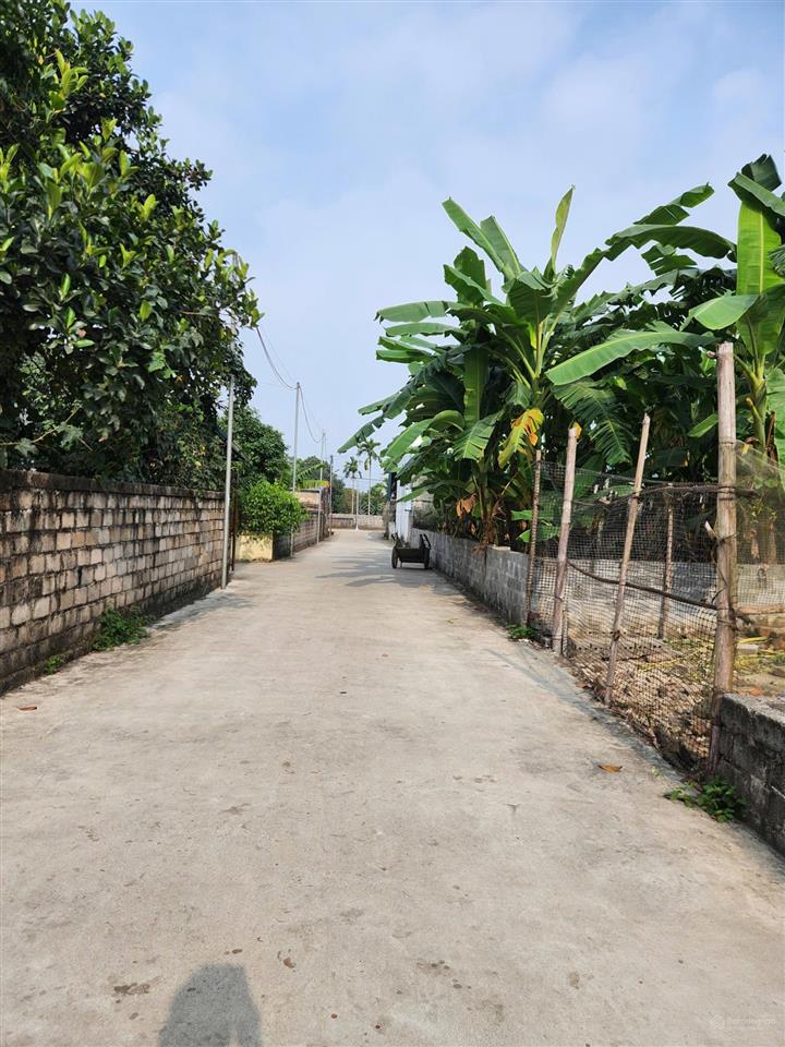 Bán đất 960m2 tại liên xã, nhuận trạch, lương sơn, hòa bình, giá siêu hời 5,3 tỷ