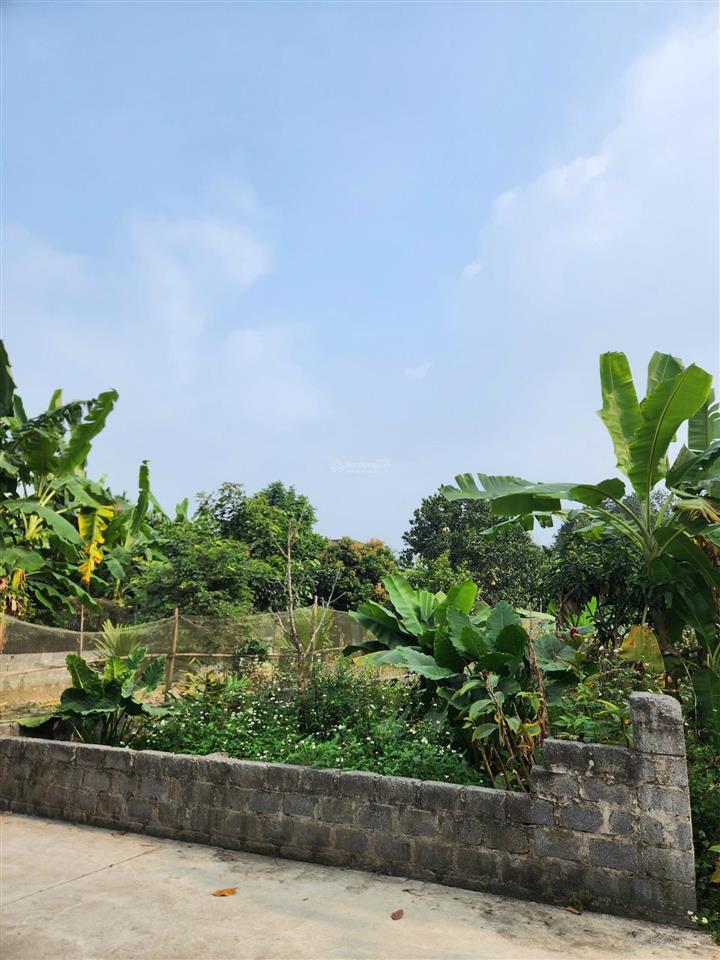 Bán đất 960m2 tại liên xã, nhuận trạch, lương sơn, hòa bình, giá siêu hời 5,3 tỷ