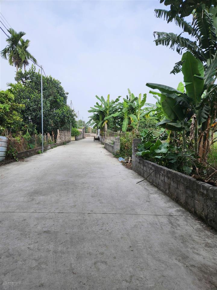 Bán đất 960m2 tại liên xã, nhuận trạch, lương sơn, hòa bình, giá siêu hời 5,3 tỷ