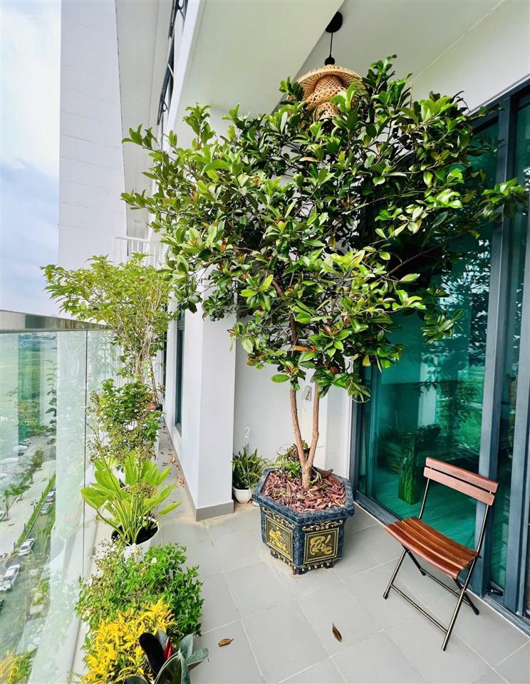 Bán căn góc sân vườn hiếm anland lakeview 5,68tỷ, 83m2,3pn, 2wc tại dương nội, hà nội. view 270độ