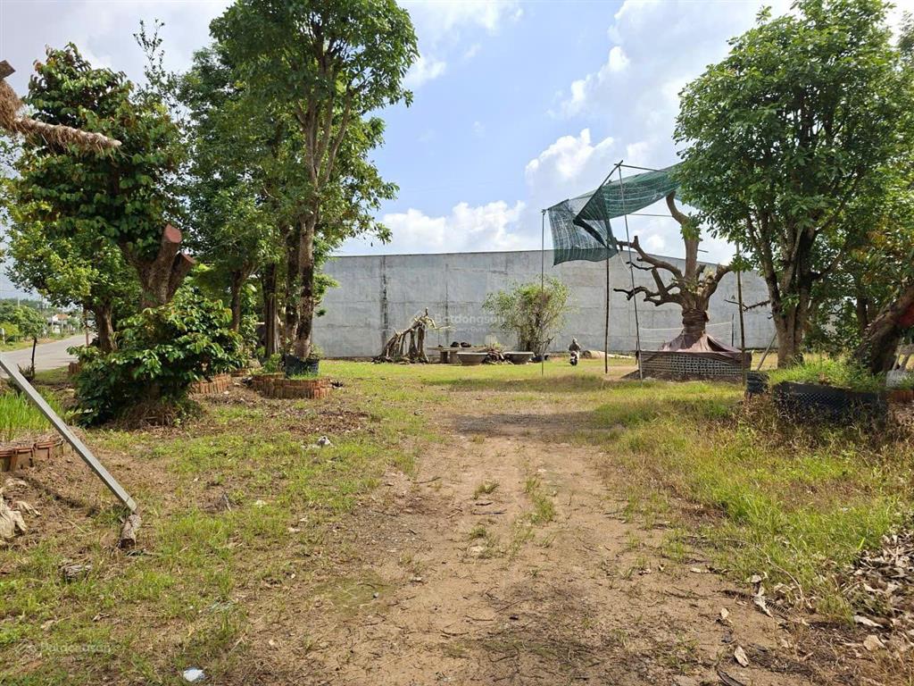 Sang nhượng gấp lô đất mặt đường phú thuận, xã phú mỹ hưng, củ chi, tp.hcm