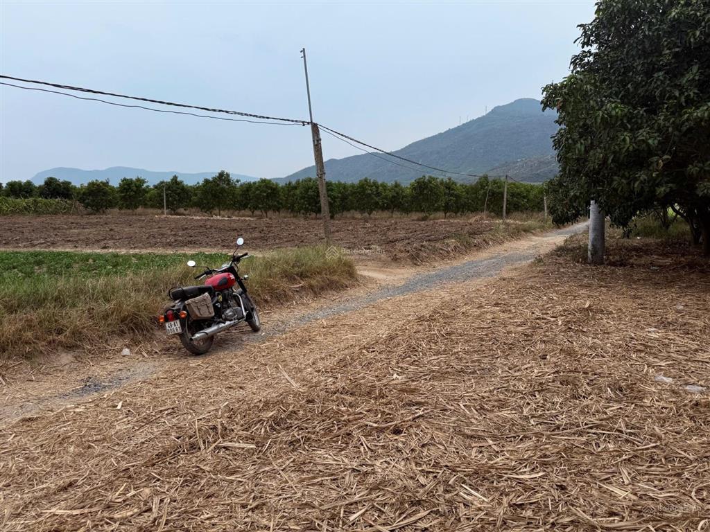 Bán đất giữ lại đô thị mới cam lâm, phù hợp tách lẻ từng lô nhỏ giá đầu tư