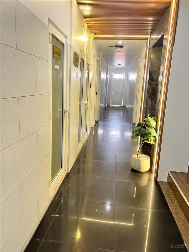 Bán cc mini giá cực chất, 222m2, 51pn, 51wc tại đường 41, tân hưng, quận 7, tp.hcm