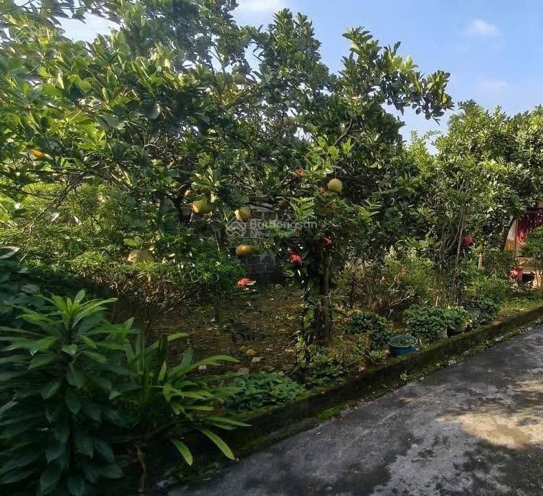 Bán đất trần phú, chương mỹ, hà nội 355m2 * 1,9 tỷ, ô tô, kinh doanh
