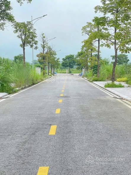 Gấp gấp rẻ quá các bác ơi  riverview lương sơn