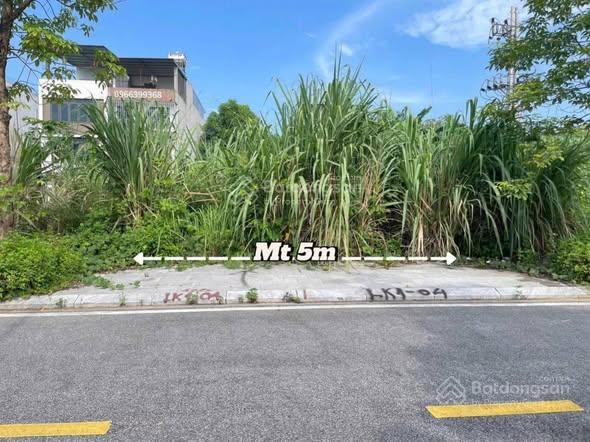 Gấp gấp rẻ quá các bác ơi  riverview lương sơn
