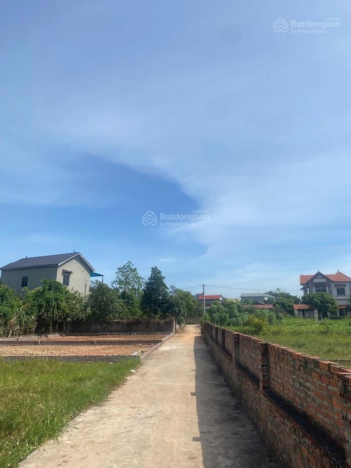 Bán đất tại thôn thanh trí, minh phú, sóc sơn, hà nội, 2,448 tỷ, 136m2, giá siêu hời chính chủ