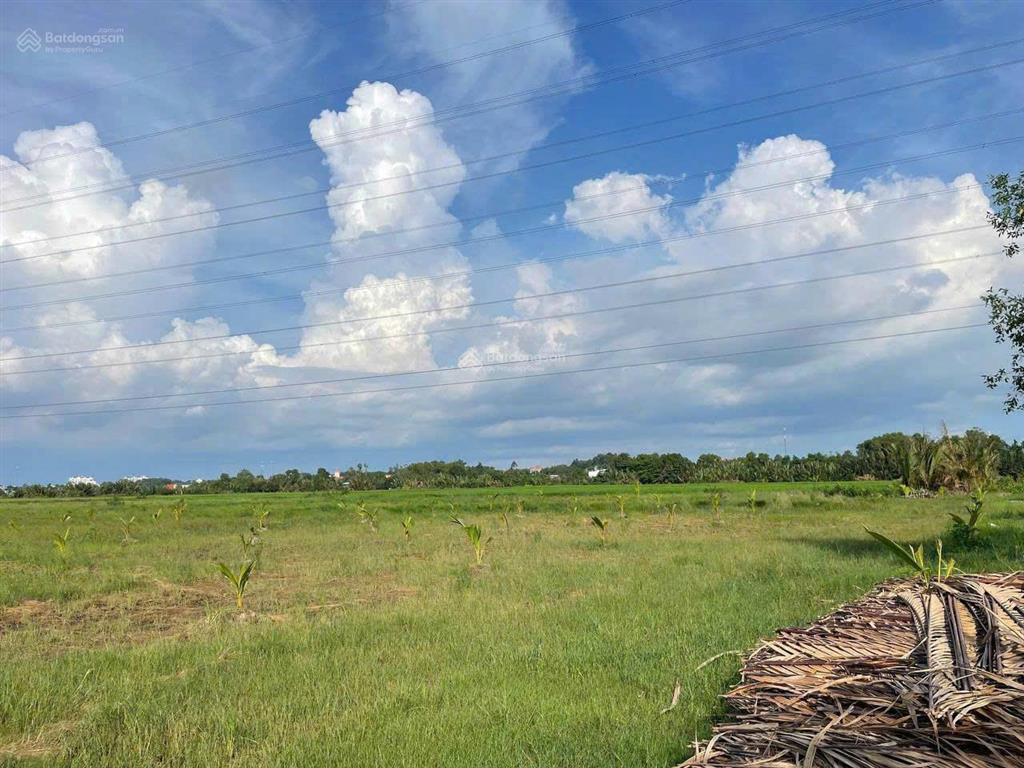 Quỹ đất hiếm 2,3ha nhơn trạch tiềm năng tăng giá mạnh theo hạ tầng khu đông, giá bất ngờ