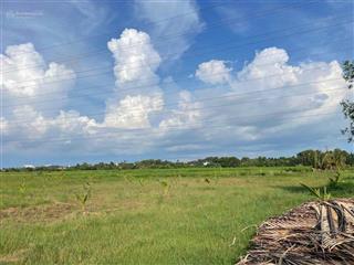 Quỹ đất hiếm 2,3ha nhơn trạch tiềm năng tăng giá mạnh theo hạ tầng khu đông, giá bất ngờ