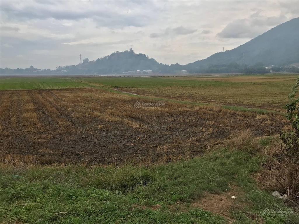 Bán đất dự án tân hưng retreat  quỹ đất lớn,tiềm năng đầu tư cao tại bà rịavũng tàu. giá cực hời.