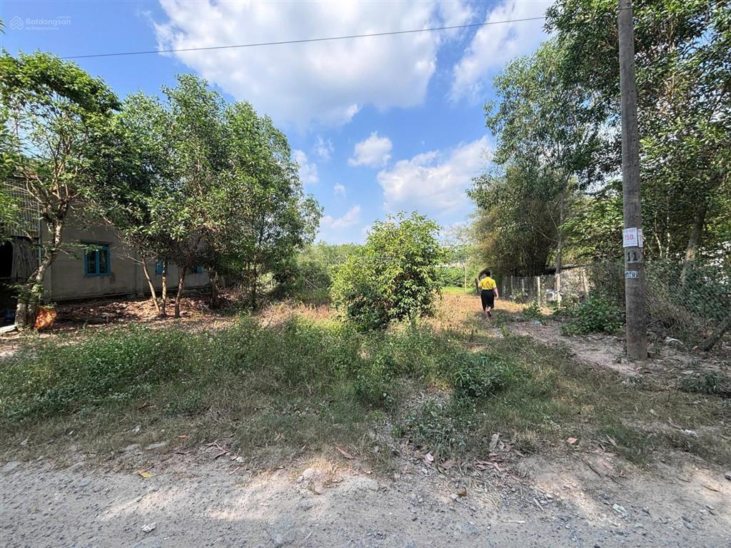 Bán 3.500m² đất ở ngay cạnh kcn long đức 1, lý tưởng làm nhà xưởng, cam kết giá tốt nhất khu vực.
