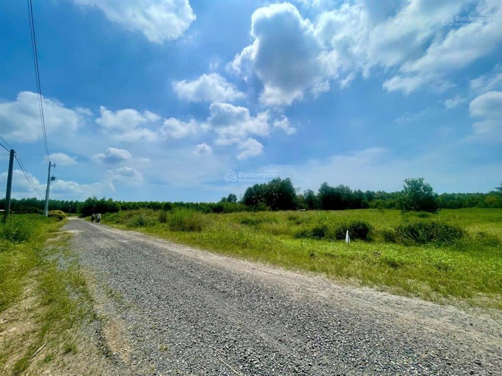 Bán đất 13.477m2 tại đất đỏ  chỉ 1 triệu/m2. phù hợp làm kho bãi, nhà xưởng  giá tốt thị trường