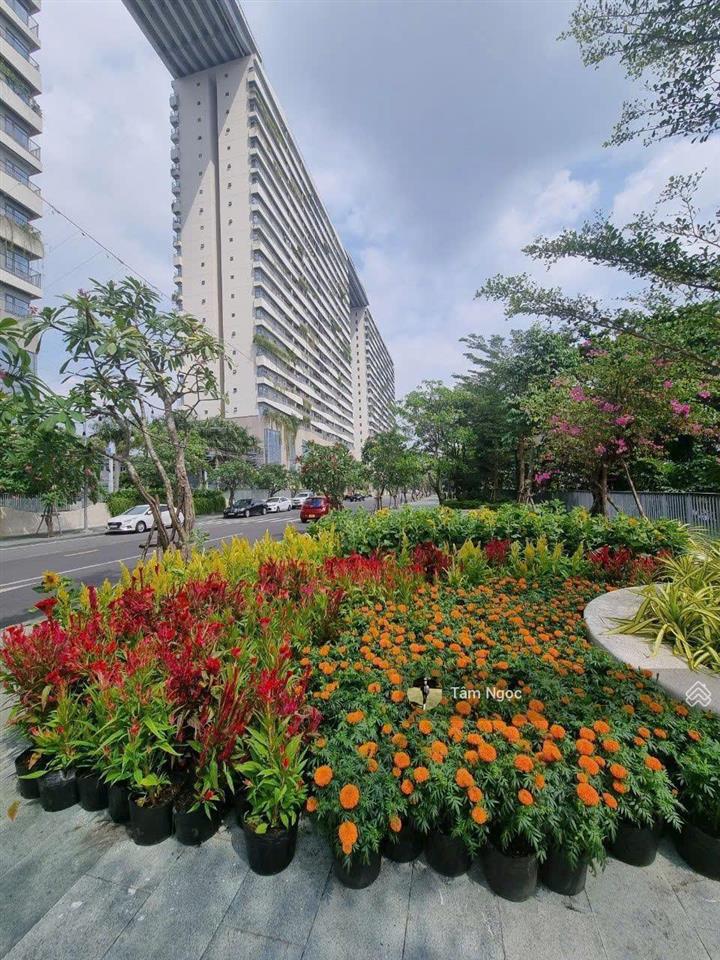 Bán căn hộ chung cư diamond lotus phúc khang q8 73m2 2pn, 2wc 1,89 tỷ