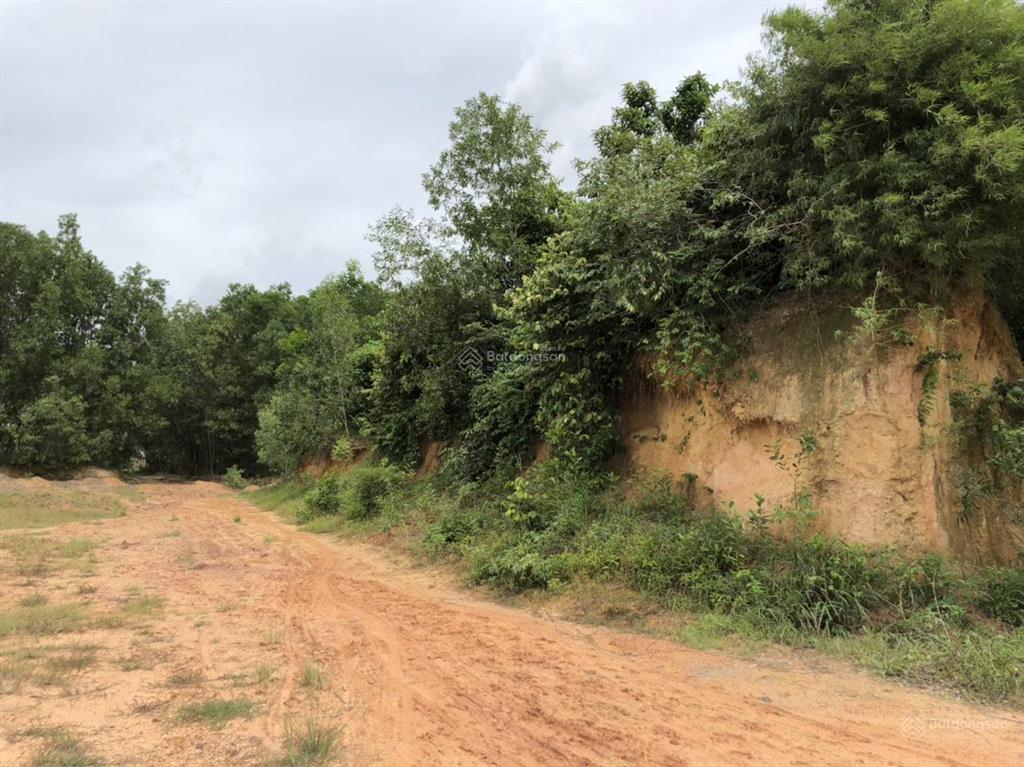 Kẹt vốn, bán nhanh lô đất 542m2 tại phường tam phước, biên hòa, đồng nai