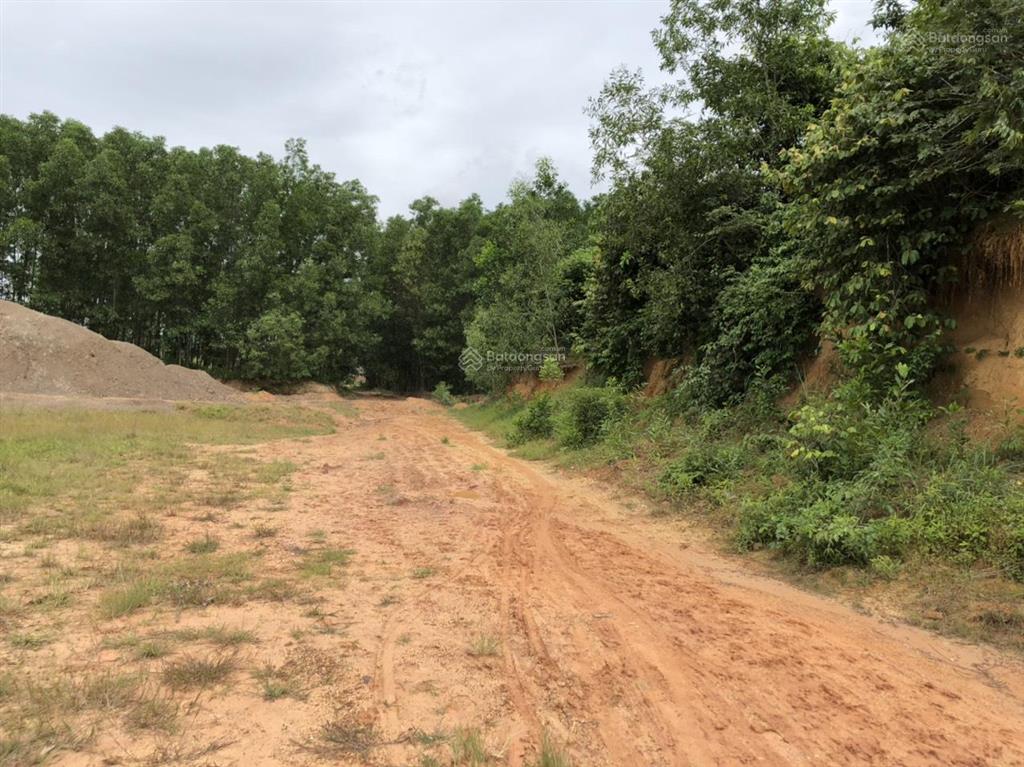 Kẹt vốn, bán nhanh lô đất 542m2 tại phường tam phước, biên hòa, đồng nai