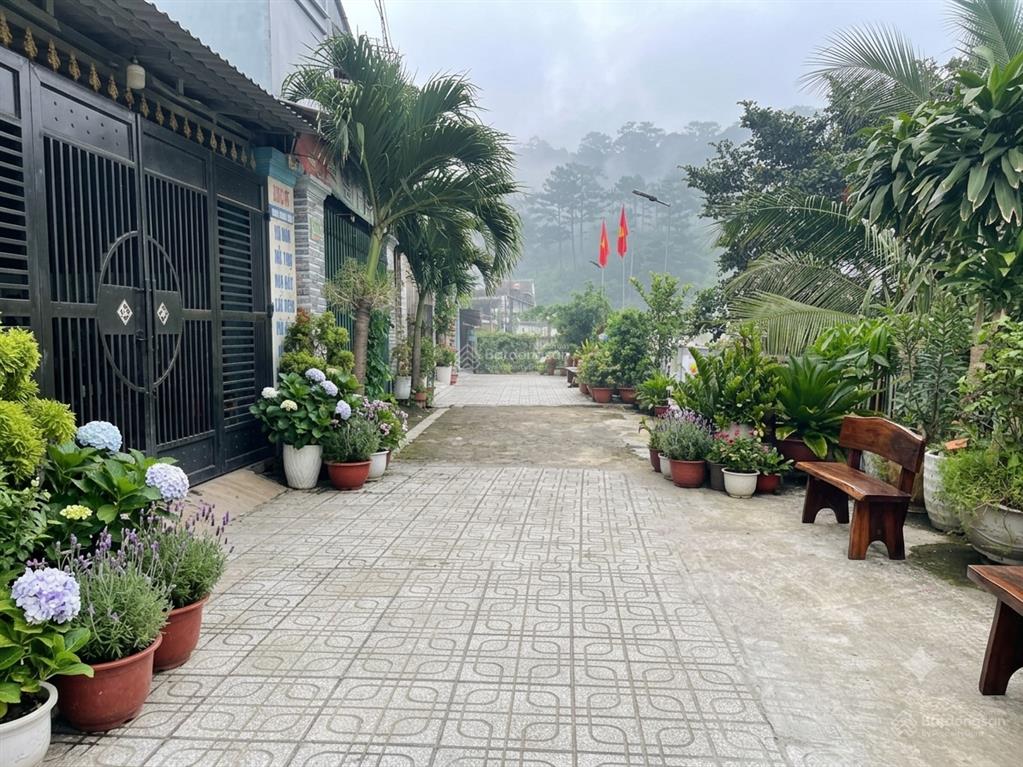 View đà lạt nghỉ dưỡng  mát mẻ cả ngày  khu hiếm nhà bán  hẻm xe bus thông  gara riêng