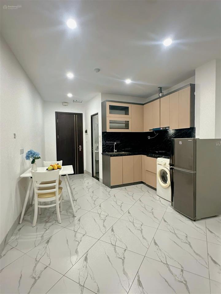 Cho thuê cc mini 1n1k giá hấp dẫn, 40m2 tại ngõ 107 vĩnh phúc, ba đình, hà nội