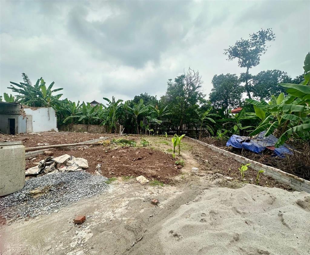 Hơn 1 tỷ có ngay 124m2 đất lai tảo bột xuyên mỹ đứchà nội ô tô vào tận đất