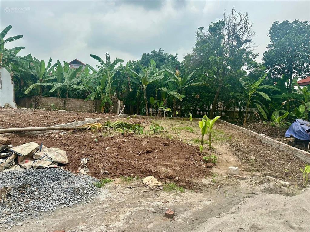 Hơn 1 tỷ có ngay 124m2 đất lai tảo bột xuyên mỹ đứchà nội ô tô vào tận đất