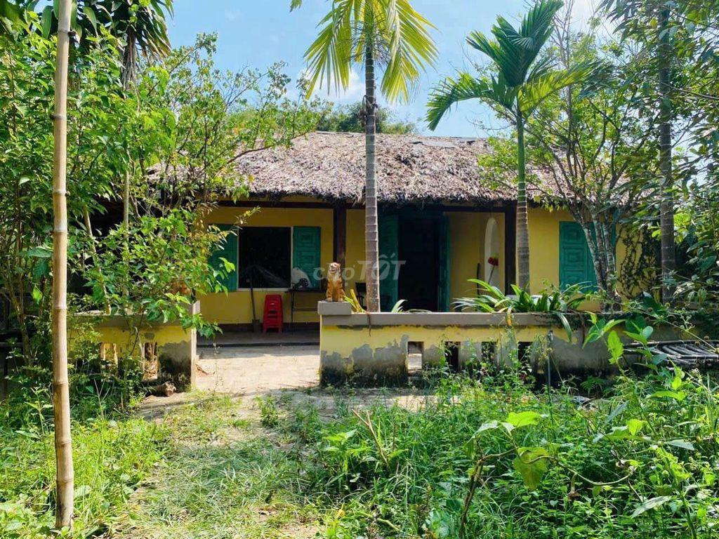 Cho thuê nhà sân vườn 1.300m2 thích hợp ở và kd cà phê sân vườn