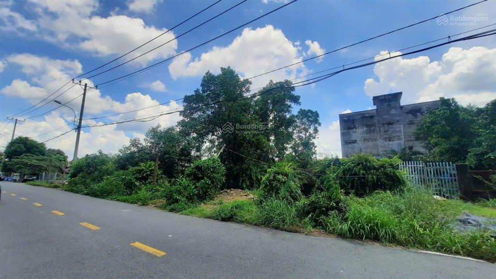 Bán đất mặt tiền đường tam thôn hiệp, cần giờ, ngang 11m, thổ cư hết đất