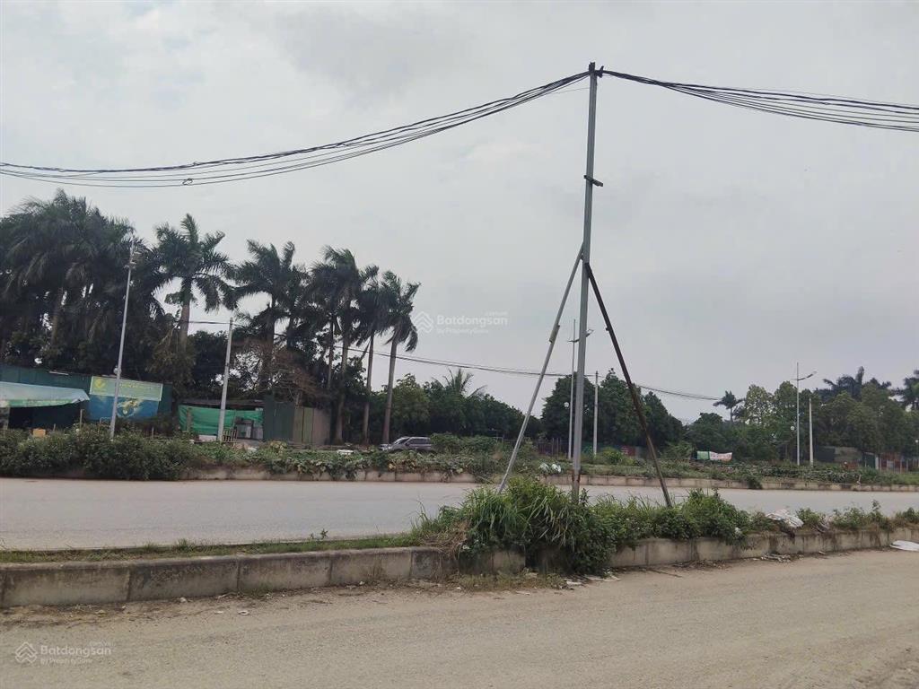 Cho thuê đất phố phạm văn nghị, diện tích 5000m2, mặt tiền 12m, kinh doanh mọi mô hình