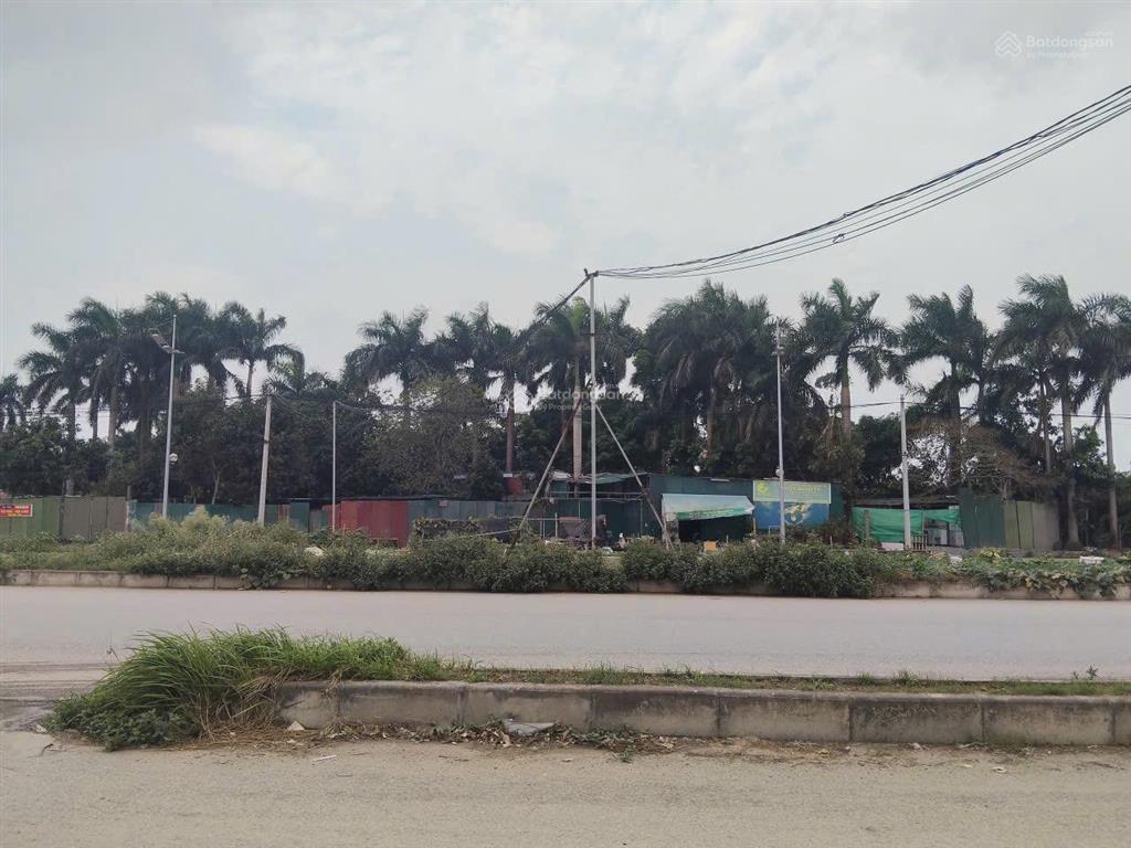 Cho thuê đất phố phạm văn nghị, diện tích 5000m2, mặt tiền 12m, kinh doanh mọi mô hình
