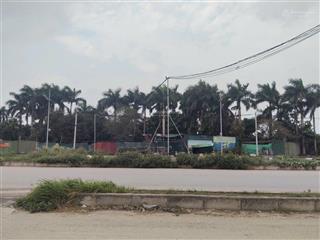 Cho thuê đất phố phạm văn nghị, diện tích 5000m2, mặt tiền 12m, kinh doanh mọi mô hình