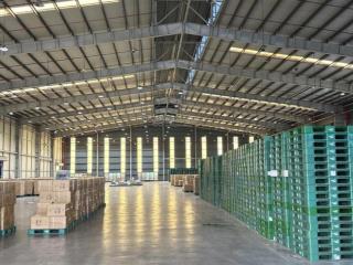 Cho thuê kho xưởng yên phong bắc ninh, diện tích 1,4ha thuê từ 4000 đến 1,4ha
