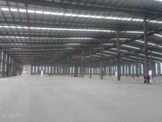 Cho thuê kho xưởng kcn quốc oai, diện tích 5000m², pháp lý rõ ràng, pccc đầy đủ, xuất vat