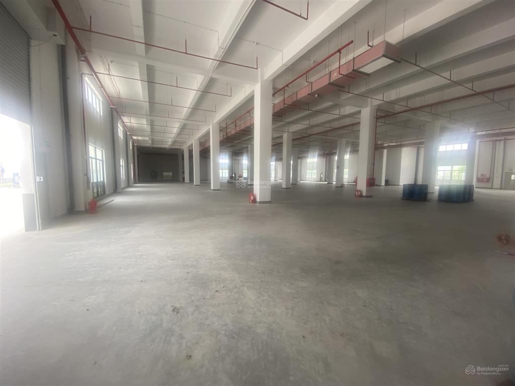 Cho thuê kho xưởng xây mới quế võ 2, diện tích tổng 9000m2, pccc hạng c