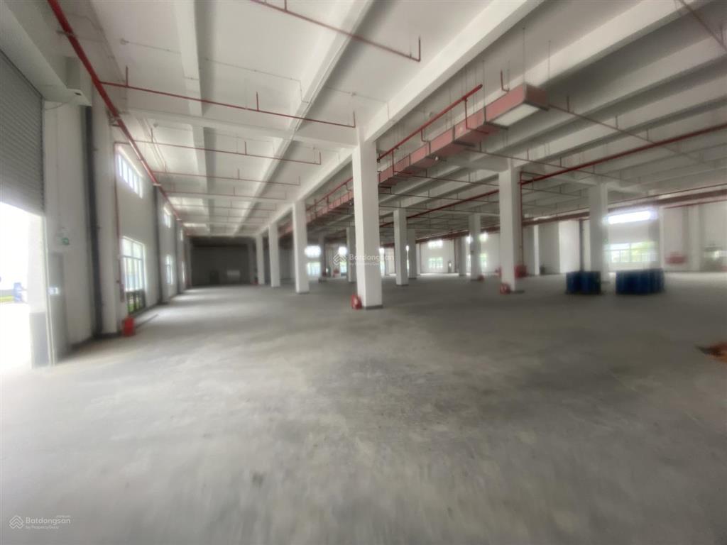 Cho thuê kho xưởng xây mới quế võ 2, diện tích tổng 9000m2, pccc hạng c