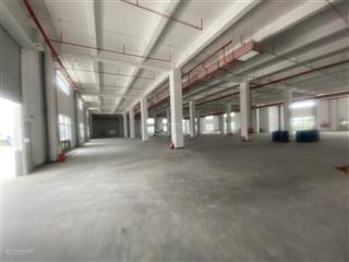 Cho thuê kho xưởng xây mới quế võ 2, diện tích tổng 9000m2, pccc hạng c