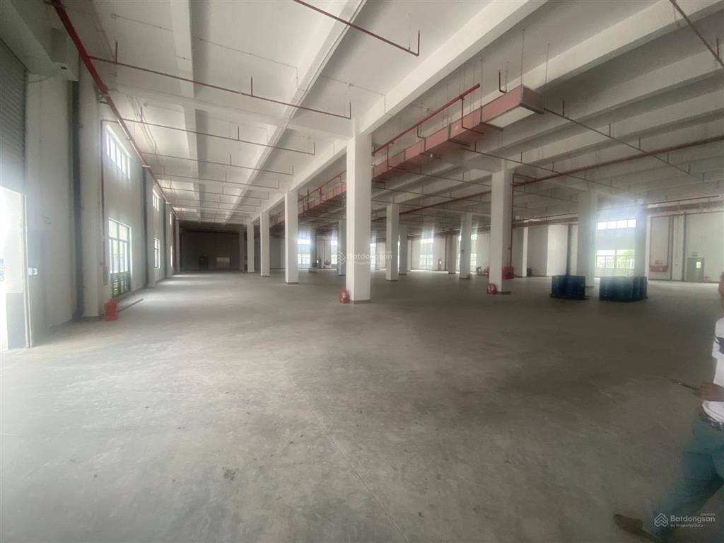 Cho thuê kho xưởng xây mới quế võ 2, diện tích tổng 9000m2, pccc hạng c