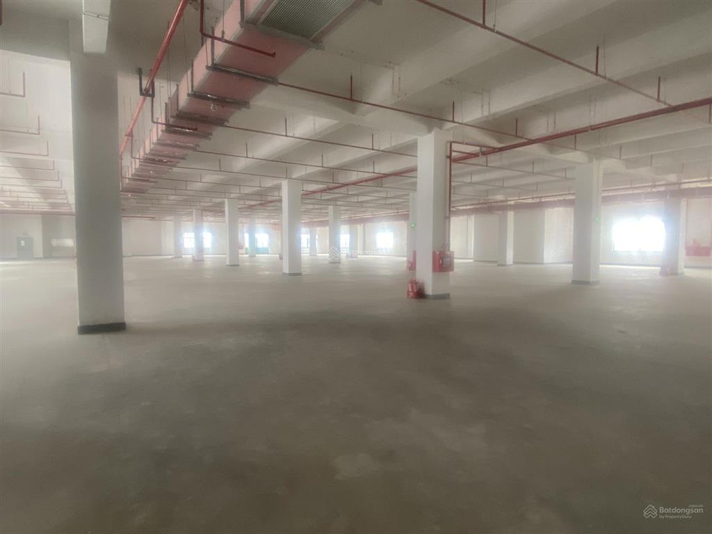 Cho thuê kho xưởng xây mới quế võ 2, diện tích tổng 6000m2, pccc hạng c, hđ dài hạn