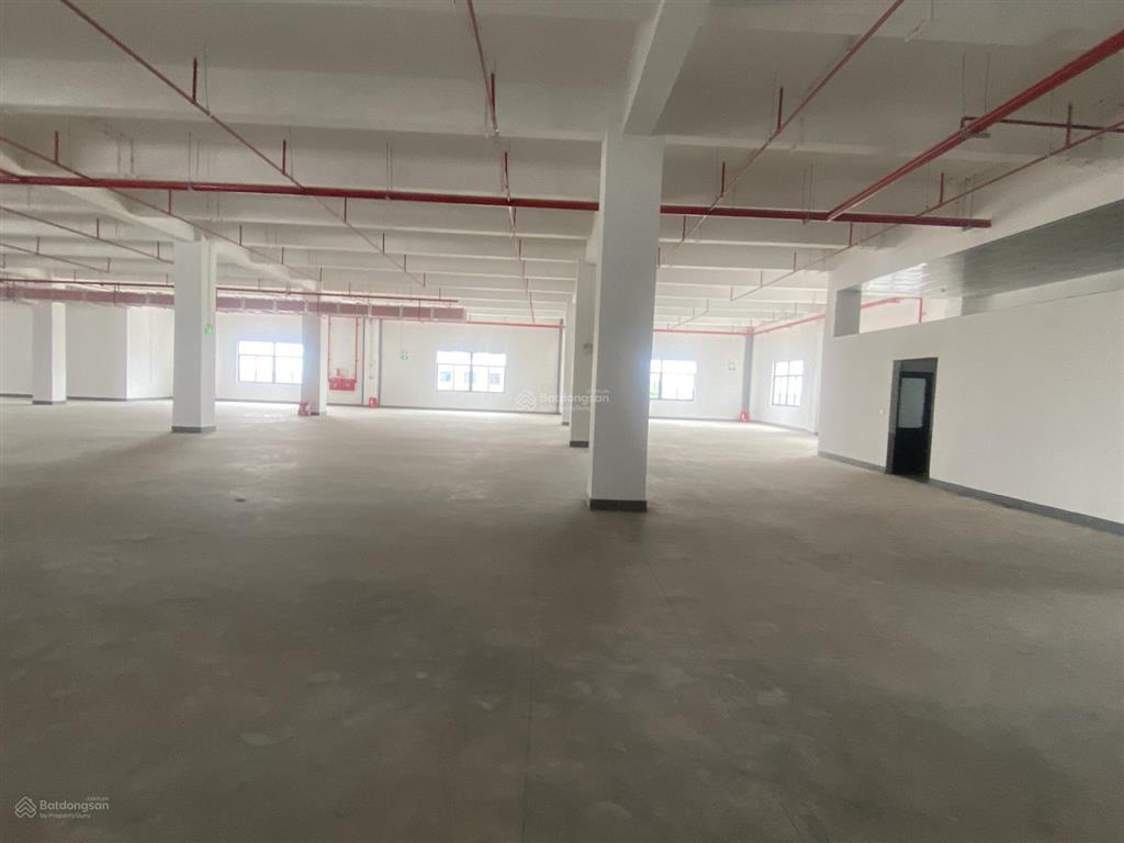 Cho thuê kho xưởng xây mới quế võ 2, diện tích tổng 6000m2, pccc hạng c, hđ dài hạn