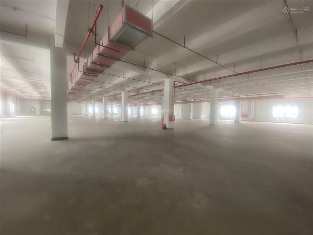 Cho thuê kho xưởng xây mới quế võ 2, diện tích tổng 6000m2, pccc hạng c, hđ dài hạn