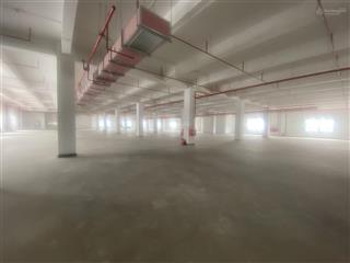 Cho thuê kho xưởng xây mới quế võ 2, diện tích tổng 6000m2, pccc hạng c, hđ dài hạn
