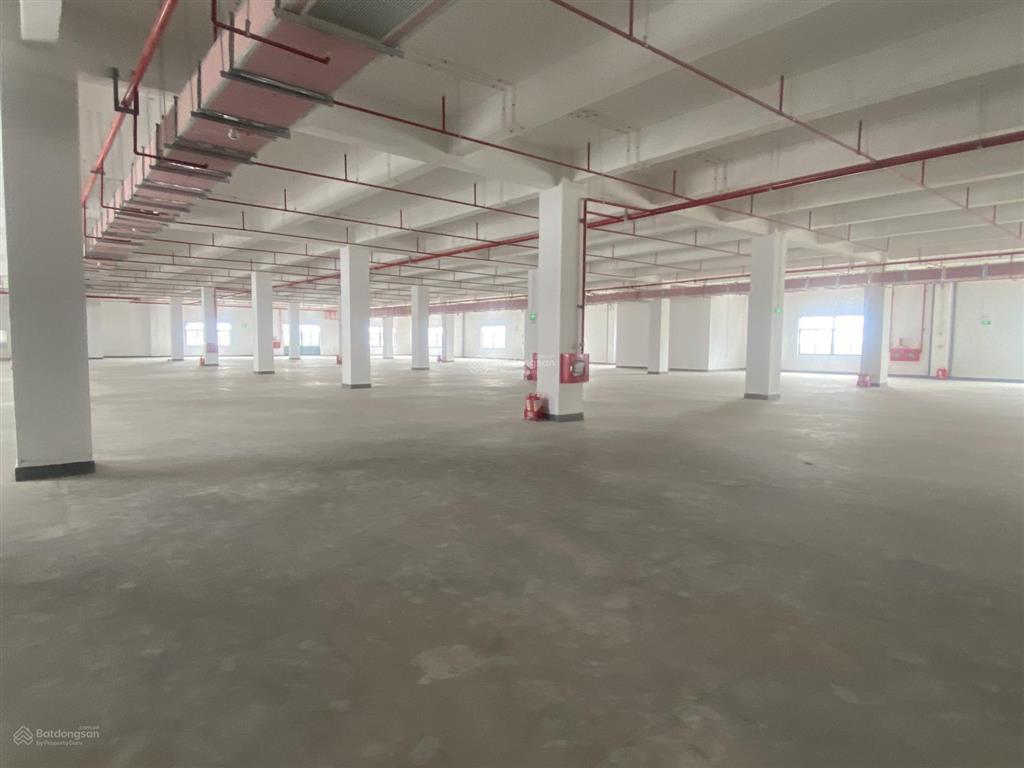 Cho thuê kho xưởng xây mới quế võ 2, diện tích tổng 6000m2, pccc hạng c, hđ dài hạn