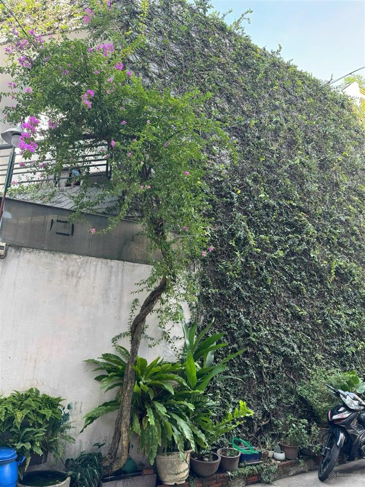 Đất thổ cư gần kdl đầm sen  quận 11  4x15  hẻm 8m  nhỉnh 7,x tỷ