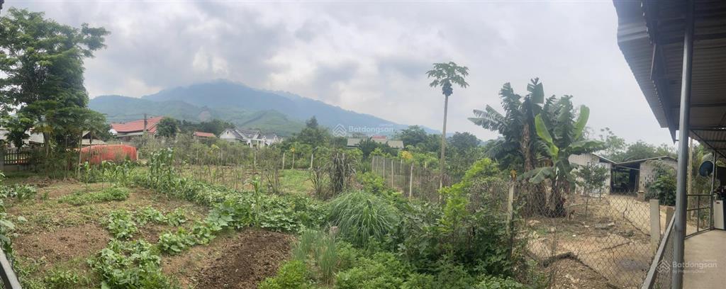 Bán 603m đất đông triều, quảng ninh | giá 29,5 triệu/m