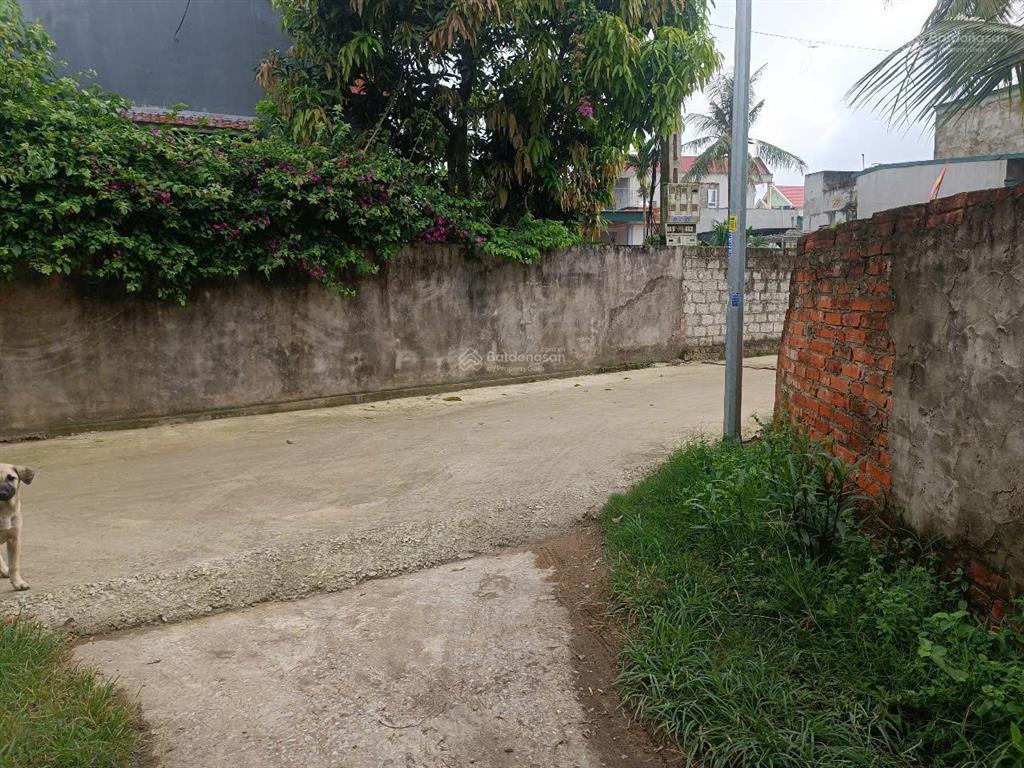 Chính chủ bán lô đất thổ cư thôn lê lợi xã hoằng đông cũ