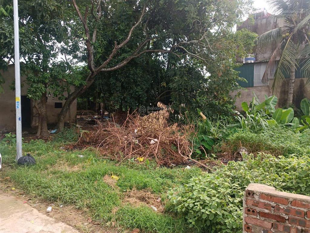 Chính chủ bán lô đất thổ cư thôn lê lợi xã hoằng đông cũ