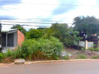 Bán đất bàu bàng 300m2 gần khu công nghiệp tiện kinh doanh. shr