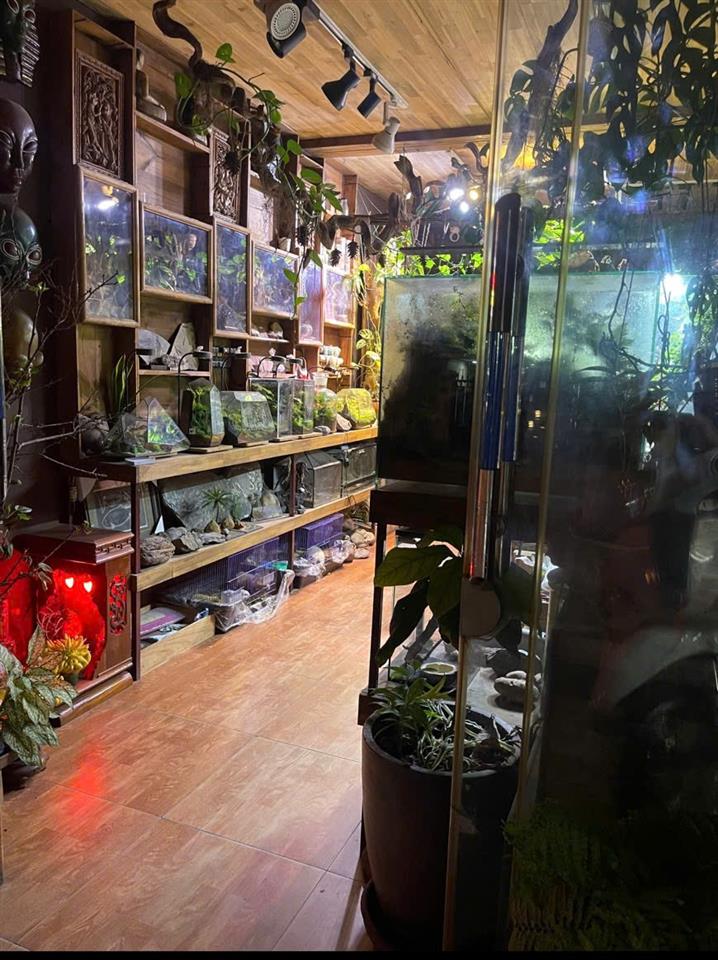 CHO THUÊ CỬA HÀNG – PHỐ HOÀNG HOA THÁM, BA ĐÌNH