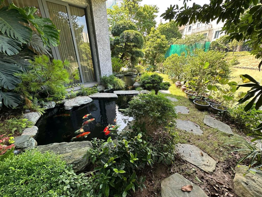 Cần bán gấp bt đơn lập, view sông, phân khu bằng lăng, vinhomes riverside, dt 495m2, giá 370 tỷ