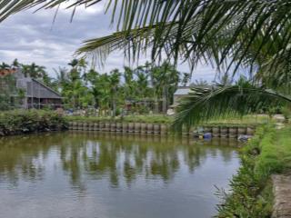 Chính chủ bán đất cẩm thanh, hội an, vị trí đẹp, diện tích 532m2, full thổ cư