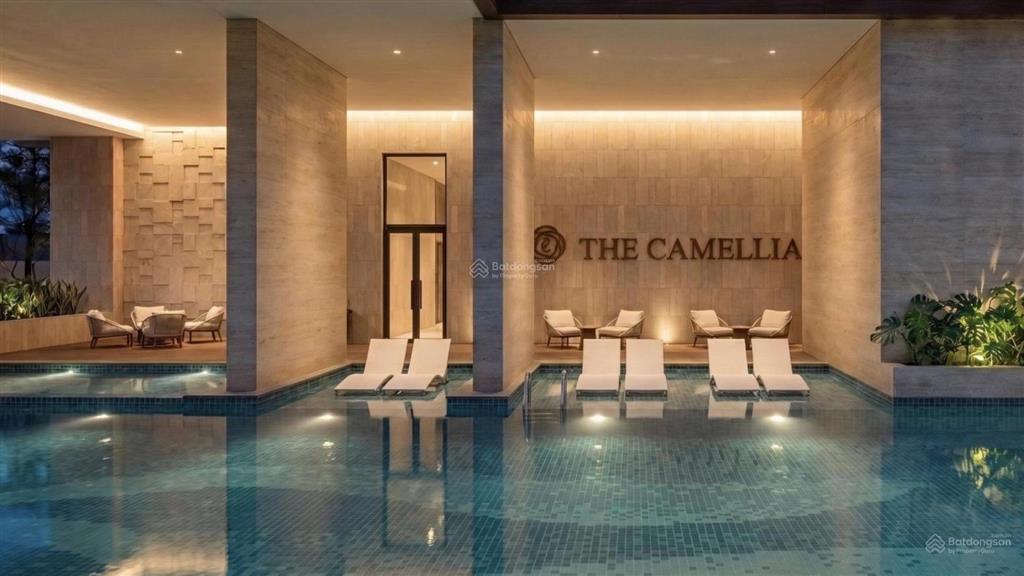 The camellia đà nẵng  căn hộ biển giá rẻ, sở hữu ngay chỉ từ 1,98 tỷ (full vat và kpbt).