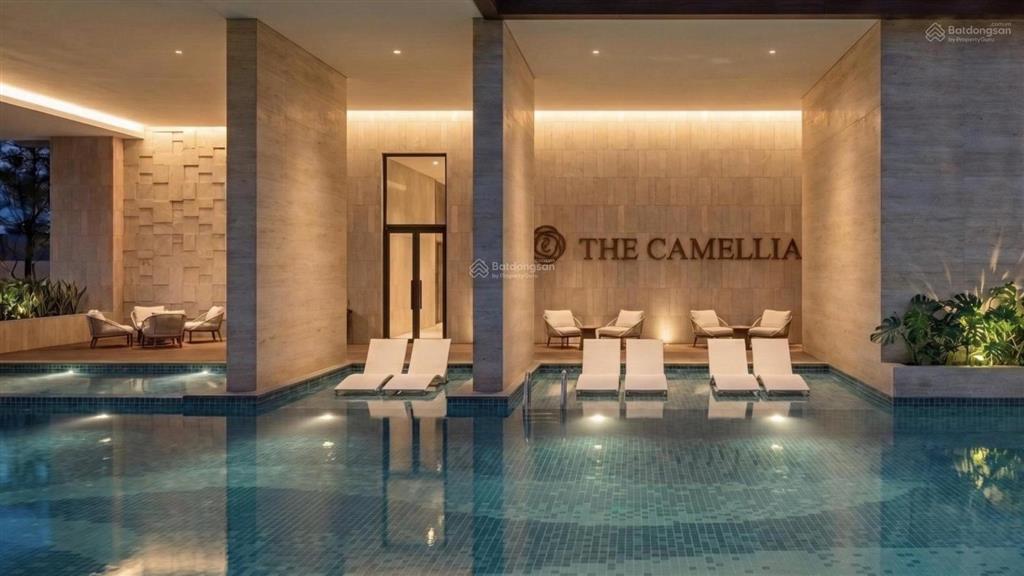 The camellia đà nẵng  căn hộ biển giá rẻ, sở hữu ngay chỉ từ 1,98 tỷ (full vat và kpbt).